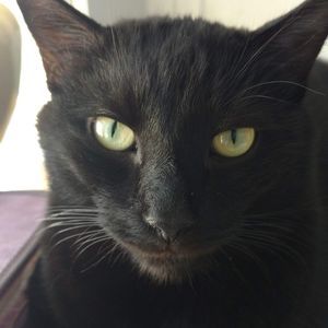 Meet your Posher, Nancy